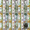 Minnesota All State Shop Hop Minnesota Decorative Stripe Multi 30209 X quilting fabric  |  Bound in Stitches