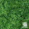 Bali Batiks W2579-359 Kelly quilting fabric by Hoffman Fabrics  |  Bound in Stitches Quilt Shop, Sauk Rapids, MN Fabric Store