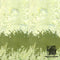 Hoffman Bali Batiks BPN018-170 Meadow by McKenna Ryan  |  Bound in Stitches