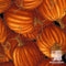 Harvest CM6443 Pumpkins