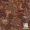 Timeless Treasures Harvest Fossil Leaf CM6445 Brown